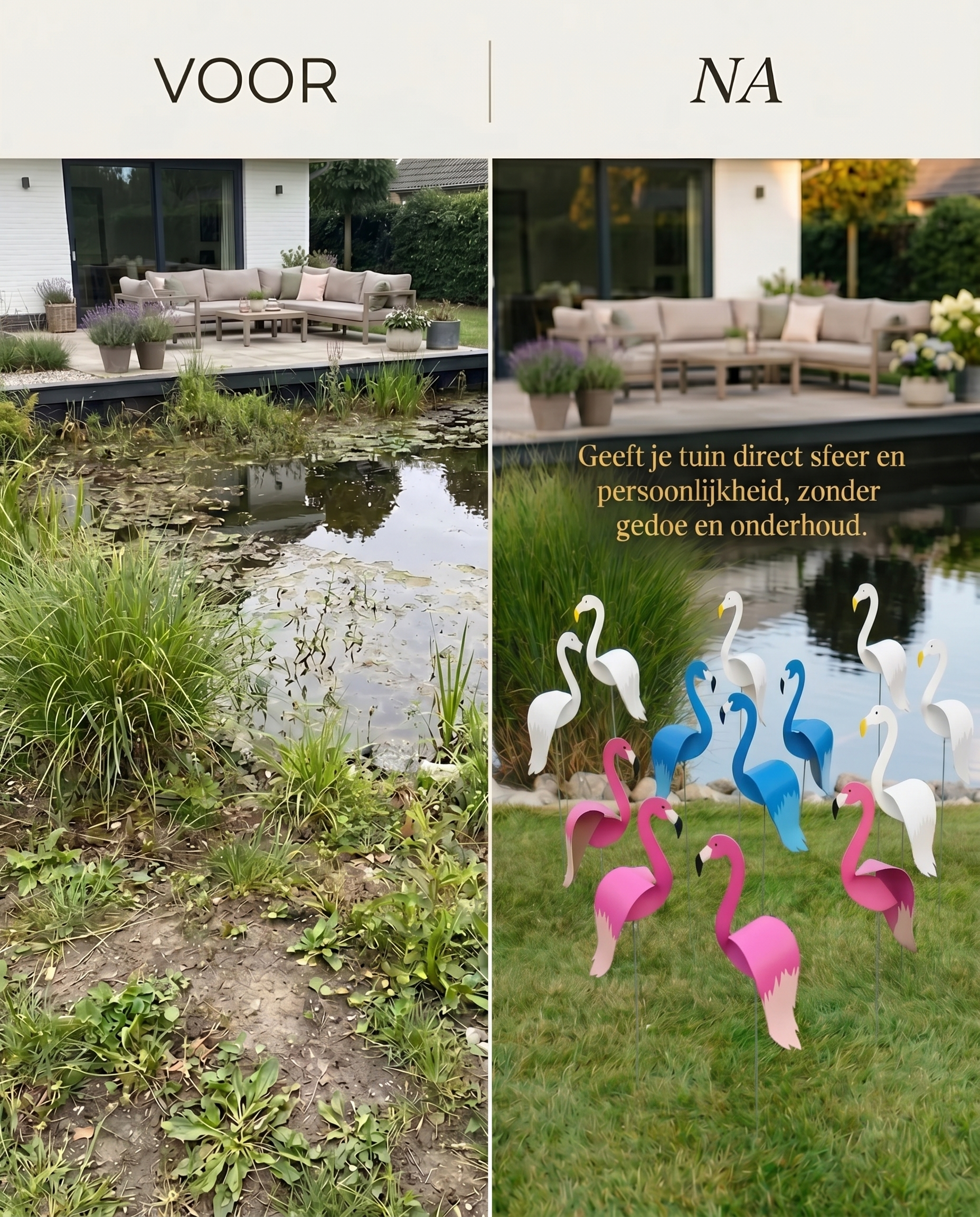 Winddansende Flamingo’s