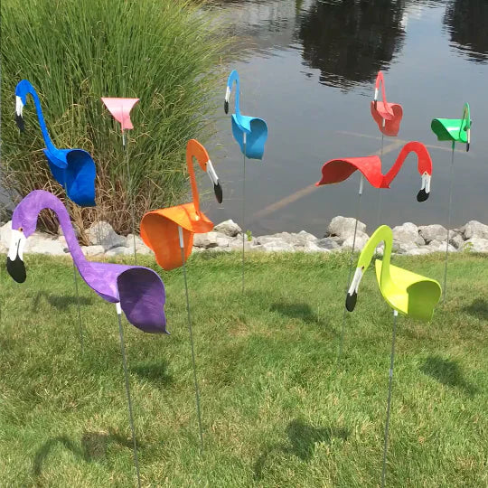 Winddansende Flamingo’s